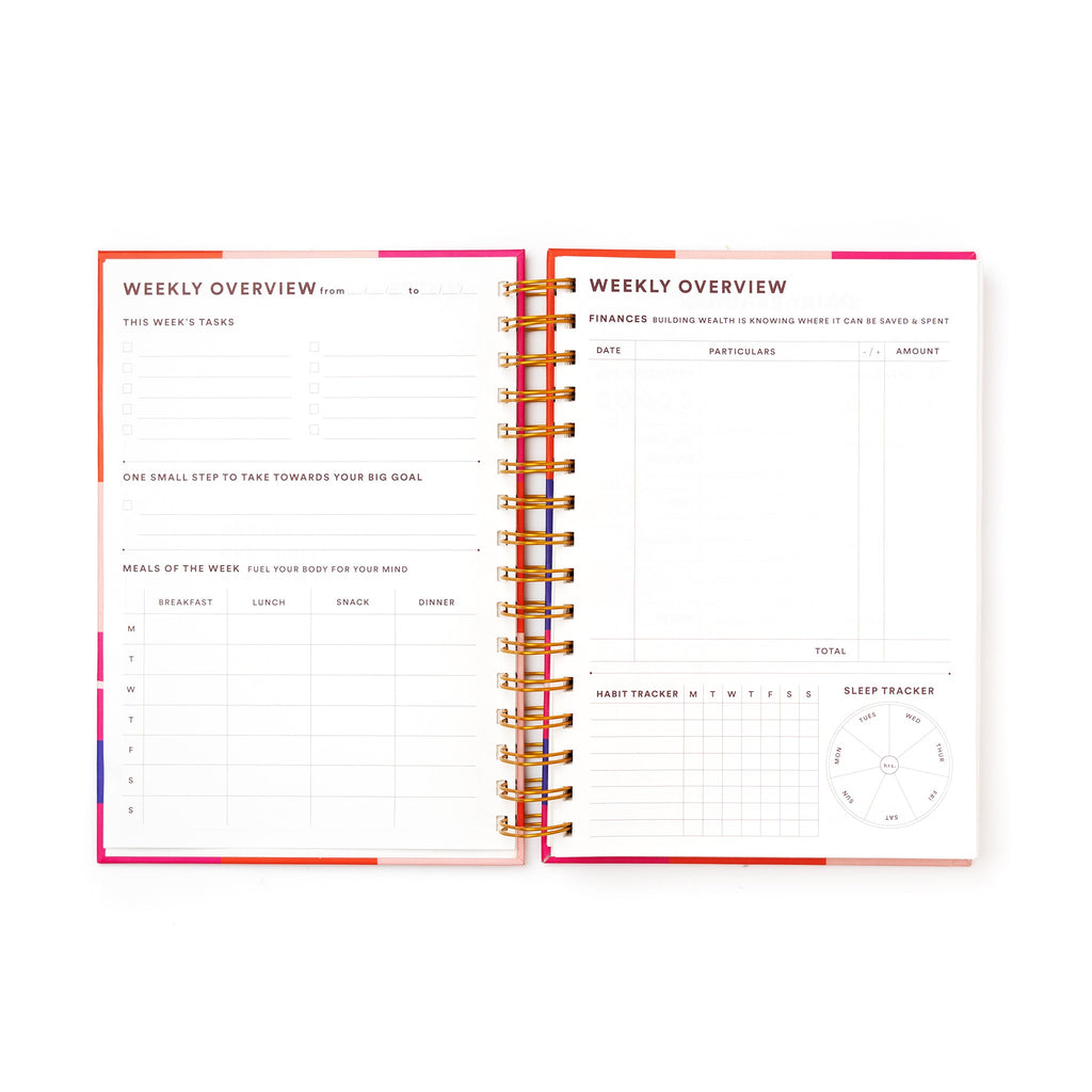 Daily Planner / Anxious But Fabulous for CRED Fridays - The Piko Shop