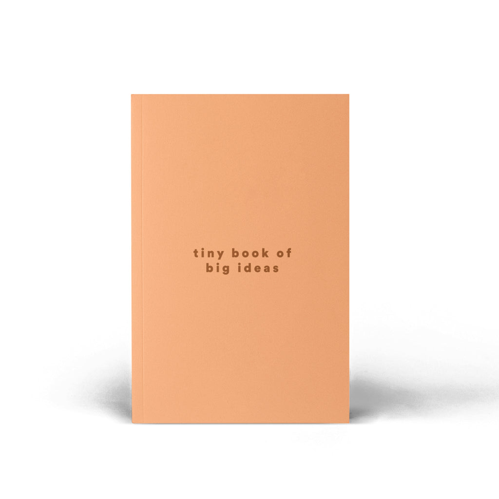 Pastel Pocket Notebooks / Pack of 5 - The Piko Shop